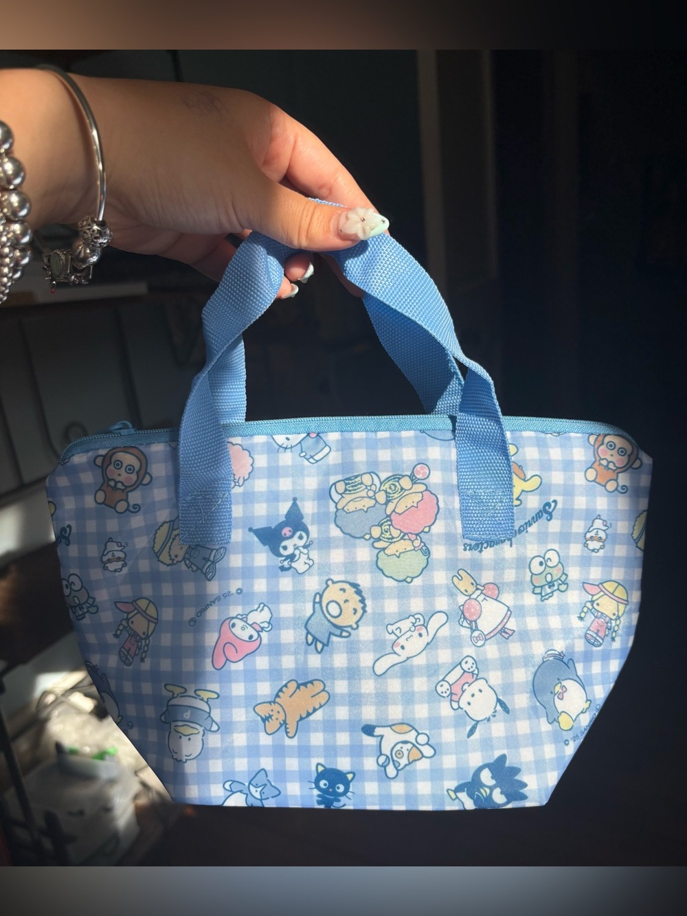 Sanrio Characters 🩵 Lunch Tote